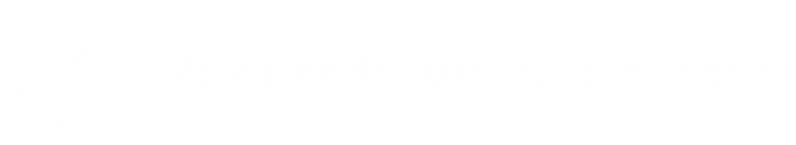 https://guiasscoutscolombia.com/